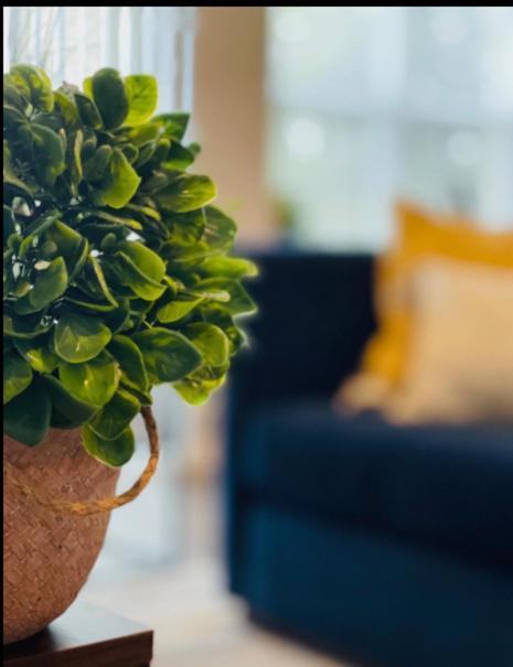 Evie'S Campus-Close 2 Bedroom Luxury Οκλαχόμα Εξωτερικό φωτογραφία